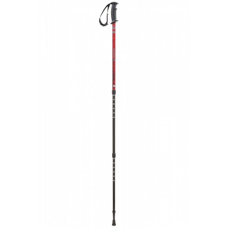 Ferrino GTA Trekking Poles